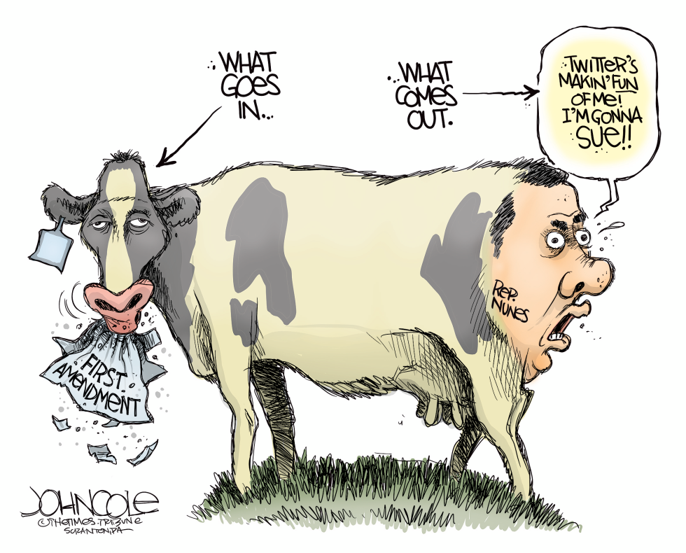  DEVIN NUNES COW by John Cole