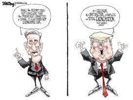 MUELLER REPORT by Bill Day