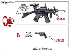 NO BRAINER GUN QUIZ by Bill Day