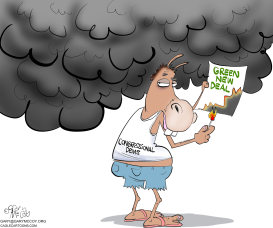 BURNING GREEN NEW DEAL by Gary McCoy