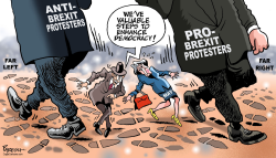 BREXIT PROTESTERS by Paresh Nath