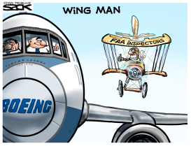 FAA WINGMAN by Steve Sack