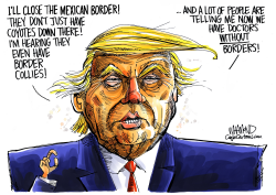 TRUMP SOUTHERN BORDER TALK by Dave Whamond