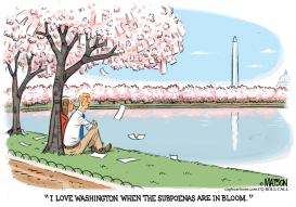 SUBPOENAS ARE IN BLOOM IN WASHINGTON by RJ Matson