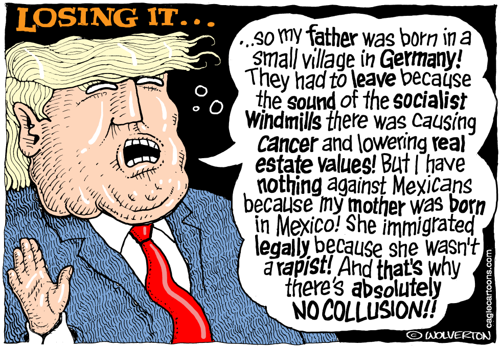  TRUMP LOSING IT by Wolverton