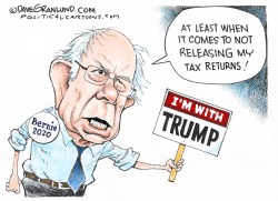 BERNIE SANDERS TAX RETURNS by Dave Granlund