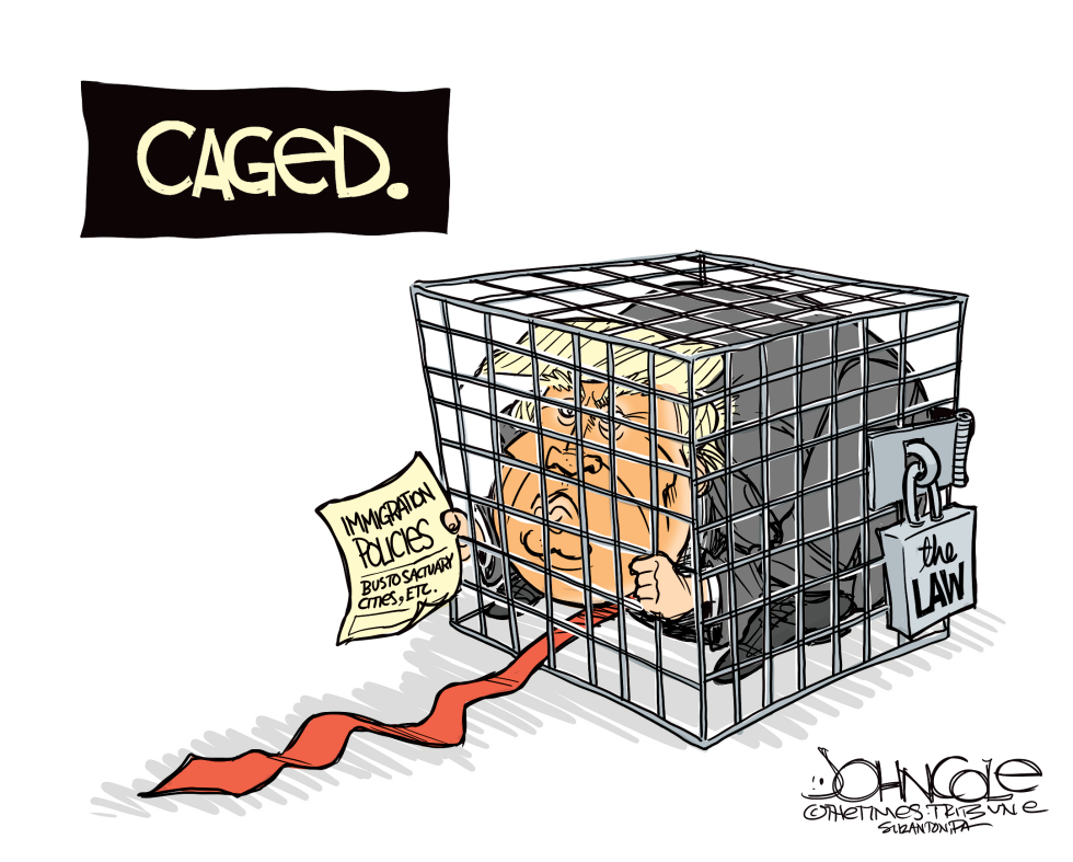  TRUMP CAGED by John Cole