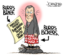 LOCAL NC BURR AND MUELLER REPORT by John Cole