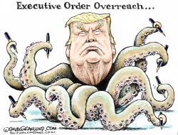 TRUMP EXECUTIVE OVERREACH by Dave Granlund