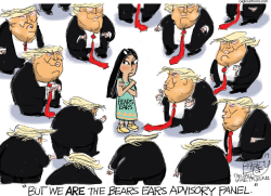 BEARS EARS by Pat Bagley