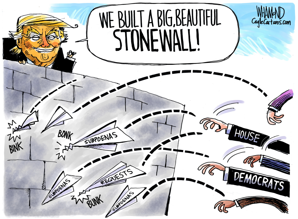  BUILD THE STONEWALL by Dave Whamond