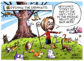 HERDING THE DEMOCATS by Dave Whamond