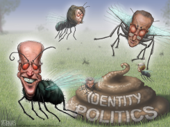 FLIES DEMOCRATS by Sean Delonas