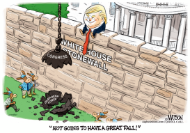 TRUMP STONEWALLS CONGRESSIONAL SUBPOENAS by RJ Matson