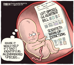 GA HEARTBEAT BILL LOCAL by Rick McKee