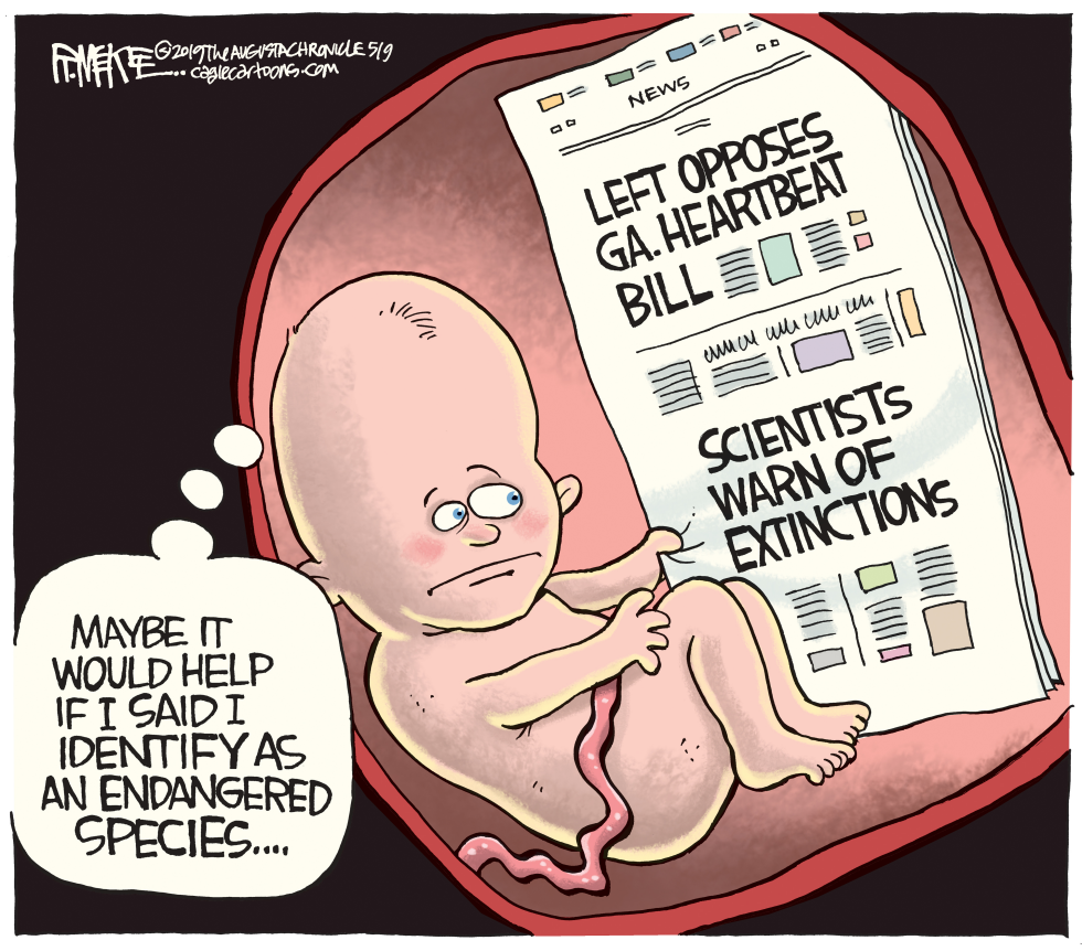  GA HEARTBEAT BILL LOCAL by Rick McKee