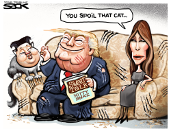 KIM CAT by Steve Sack