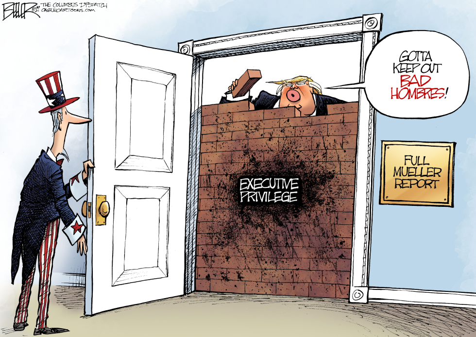  EXECUTIVE PRIVILEGE by Nate Beeler