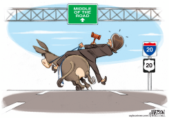 PELOSI DEMOCRATS by RJ Matson