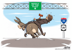 PELOSI DEMOCRATS by RJ Matson