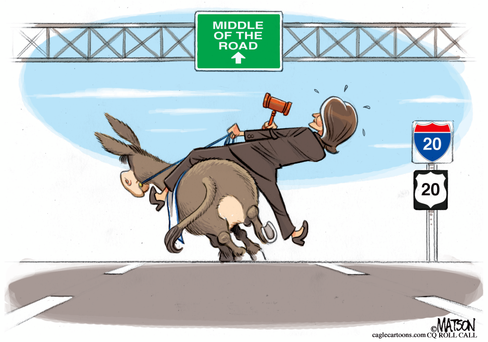  PELOSI DEMOCRATS by RJ Matson