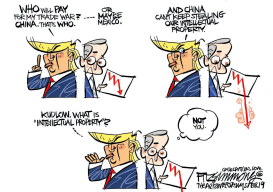 TRUMP'S TRADE WAR by David Fitzsimmons