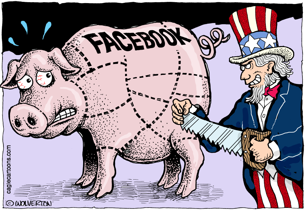  FACEBOOK BREAKUP by Wolverton