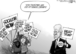 JOE BIDEN PRIORITIES by Nate Beeler