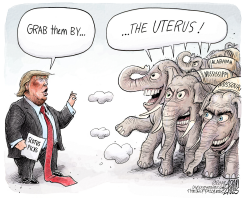 POWER GRAB by Adam Zyglis