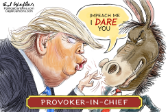 IMPEACH ME I DARE YOU by Ed Wexler