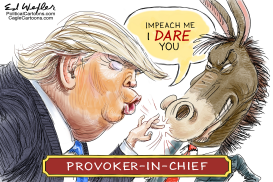 IMPEACH ME I DARE YOU by Ed Wexler