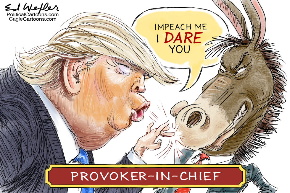  IMPEACH ME I DARE YOU by Ed Wexler