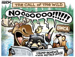 BWCA BLUES by Steve Sack