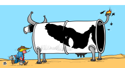 WAR COW by Emad Hajjaj