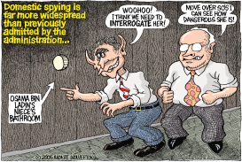 DOMESTIC SPYING by Wolverton