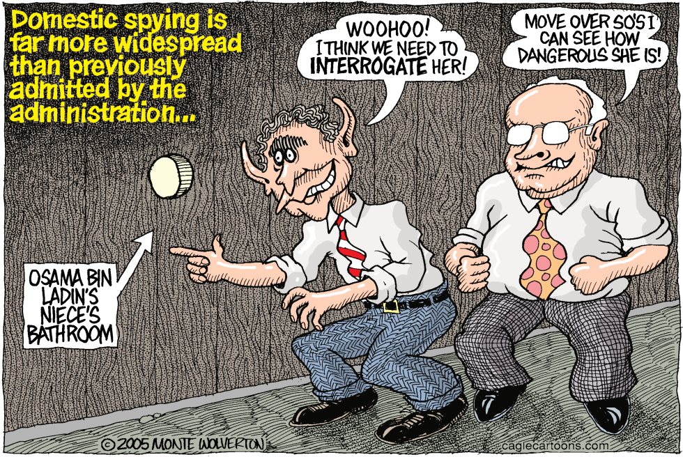  DOMESTIC SPYING by Wolverton