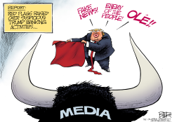 TRUMP RED FLAGS by Nate Beeler