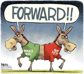 DEMOCRATS TORN by Rick McKee