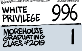 PRIVILEGE SCORE by Milt Priggee