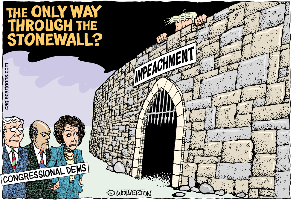  THROUGH THE STONEWALL by Wolverton