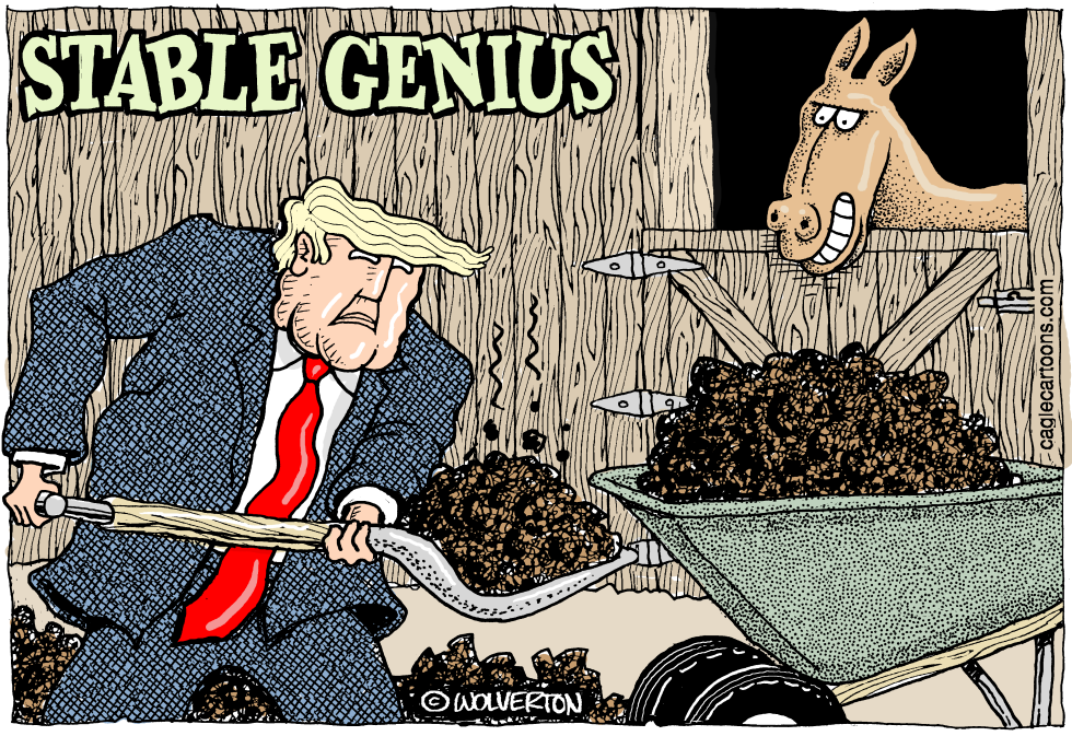  STABLE GENIUS by Wolverton