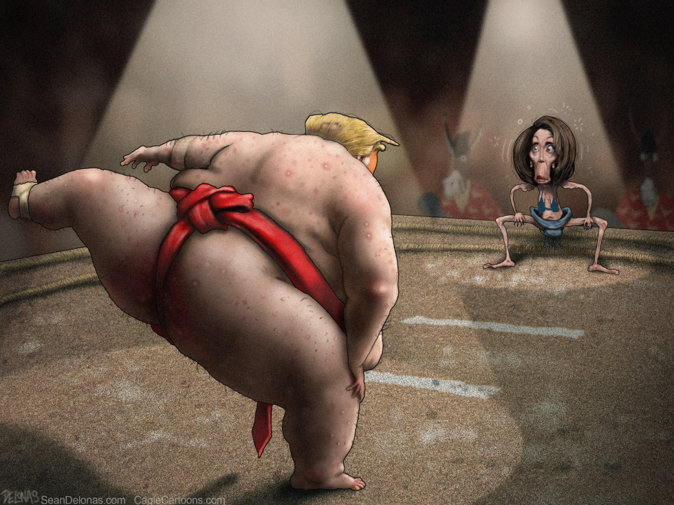  DONALD TRUMP NANCY PELOSI by Sean Delonas