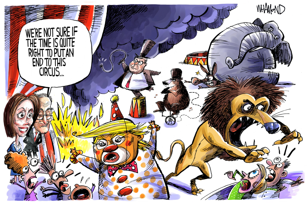  THE CIRCUS by Dave Whamond