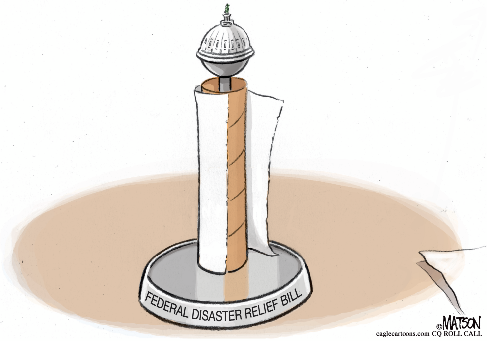  FEDERAL DISASTER RELIEF PAPER TOWELS by RJ Matson