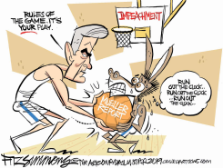 MUELLER'S MOVE by David Fitzsimmons