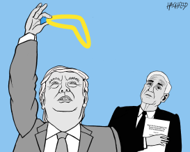 DONALD TRUMP'S HALO by Rainer Hachfeld