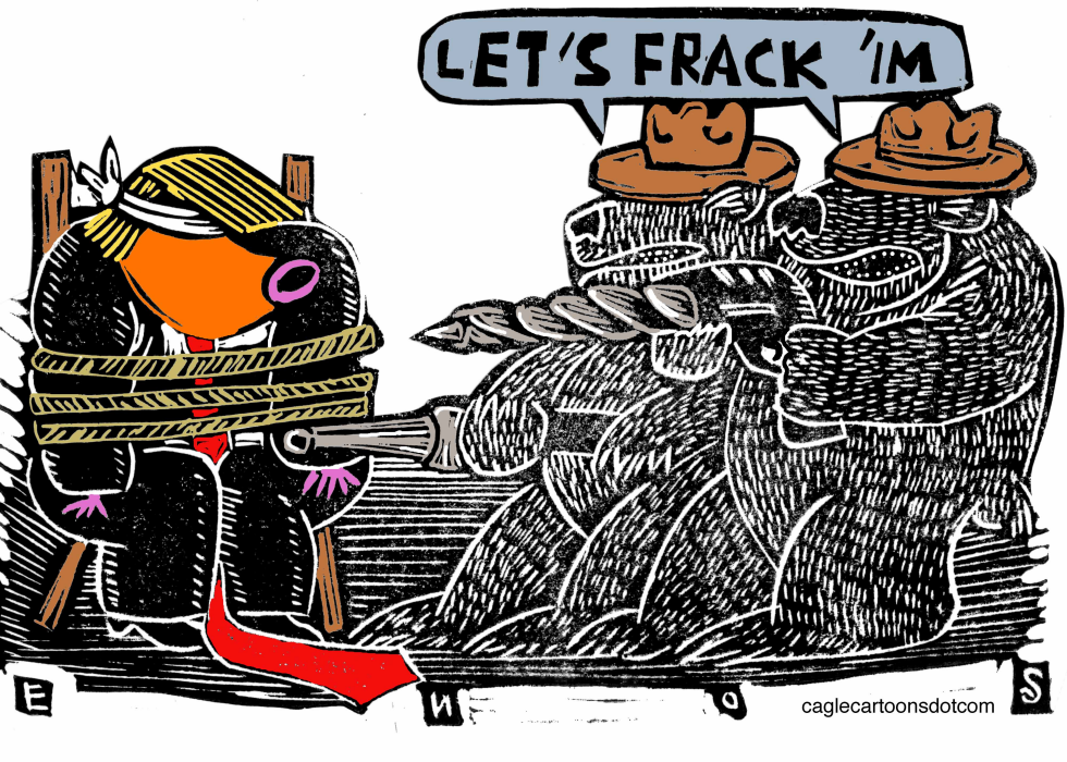  FRACKING THE PARKS by Randall Enos