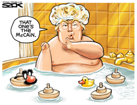 MCCAIN DISGUISE by Steve Sack