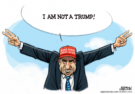 MAKE NIXON GREAT AGAIN by RJ Matson