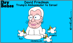 TRUMP'S AMBASSADOR TO ISRAEL by Yaakov Kirschen